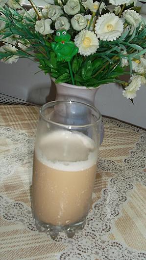 Kokteil kaljaga